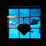 Casa All'alpe Lägenhet